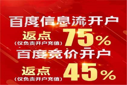 某电商平台的SEM推广策略分析
